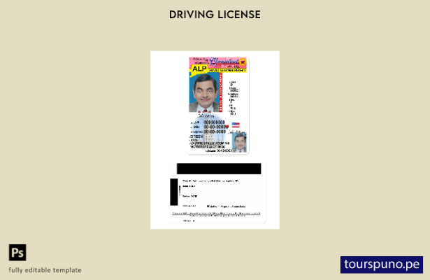 listo para imprimir el permiso de conducir de Connecticut de EE. UU. bajo planti